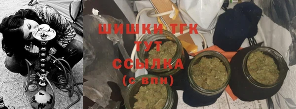 гашик Лабытнанги
