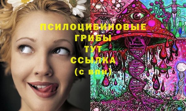 герыч Лиски